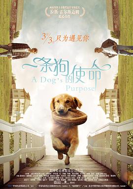 国产精品资源