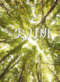 亚洲一区二区三区四区在线观看